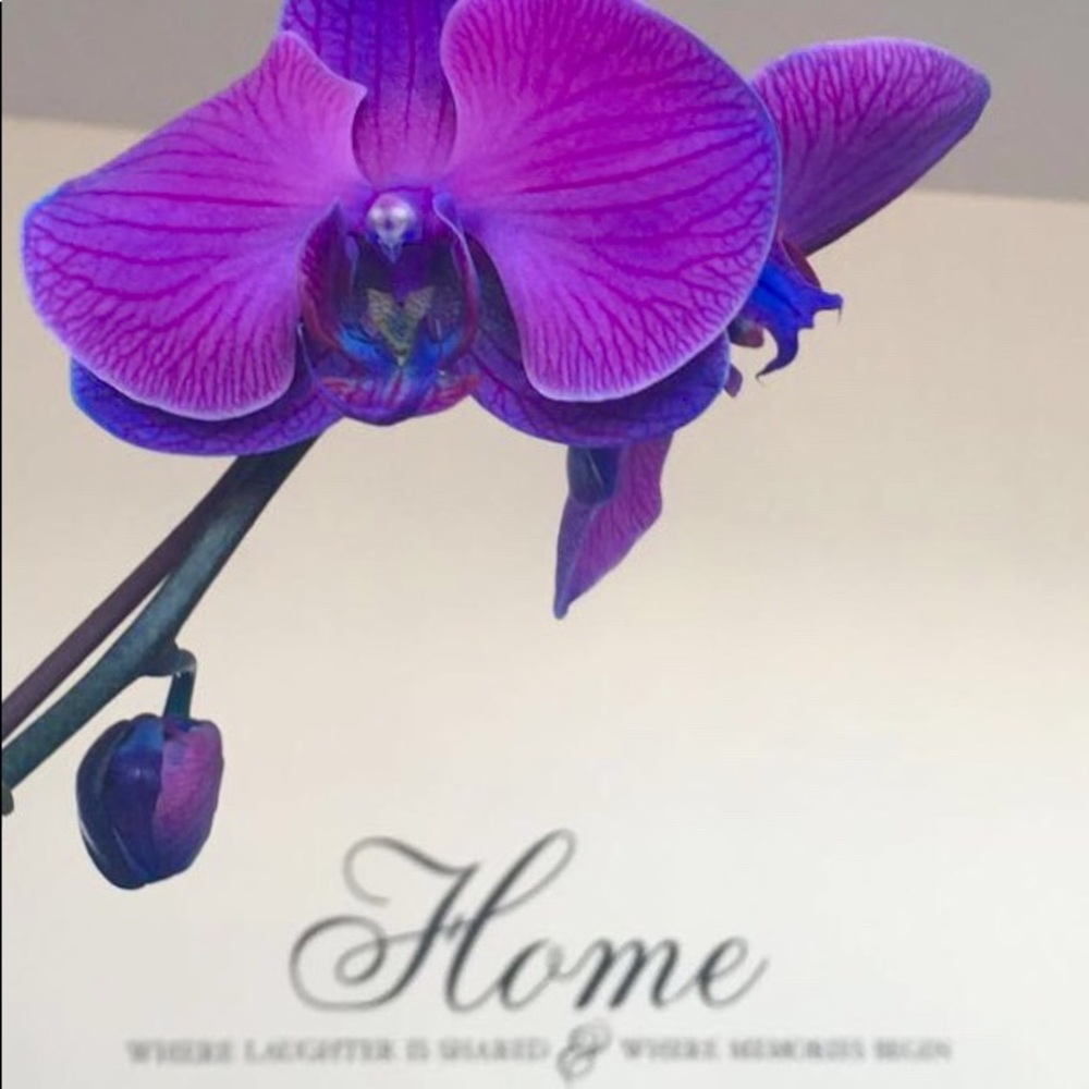 Meet your Posher, Kiara